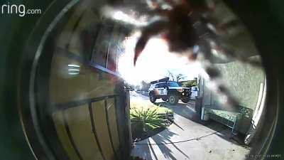 So, the door motion detector went off this morning...
