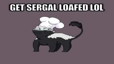 Sergal_irl