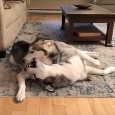 Relaxing and arguing at the same time