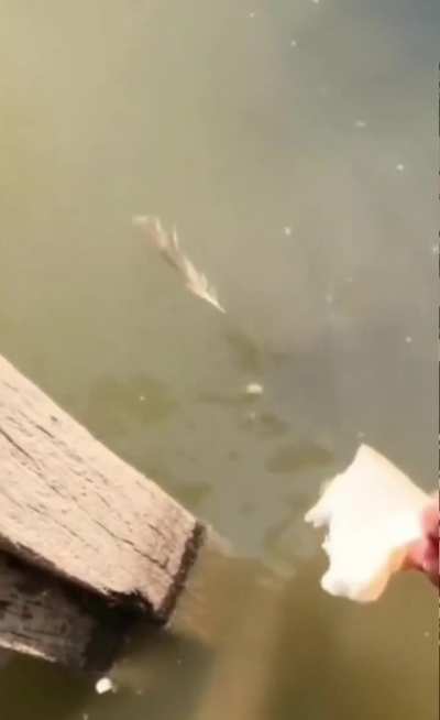 She got catfished 