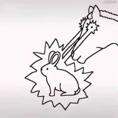Animation