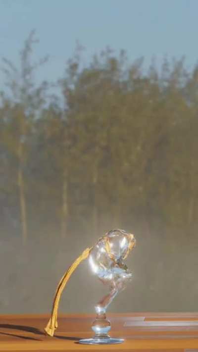 That glass is done for.