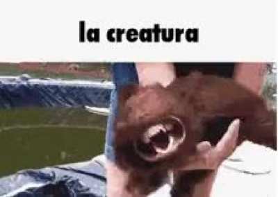 Cursed