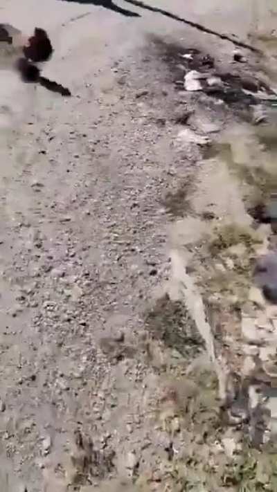 Red dead Redemption (Real Life)