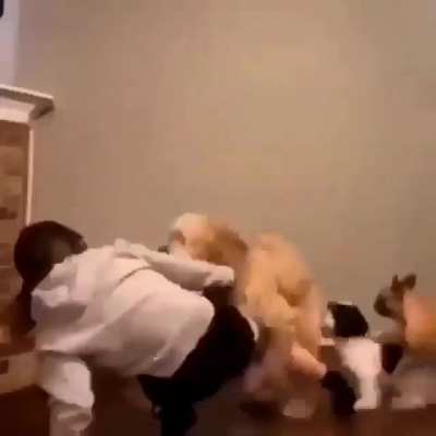 Conga!