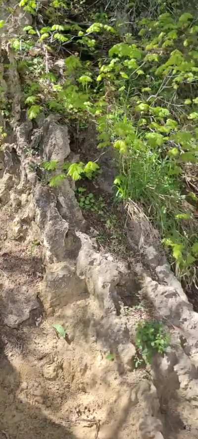 Wonderful hiking adventure 😊