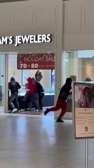 Mob loots a Sam&rsquo;s Jewelers inside Southland Mall