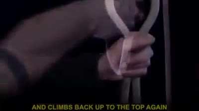 Y&rsquo;all need This video