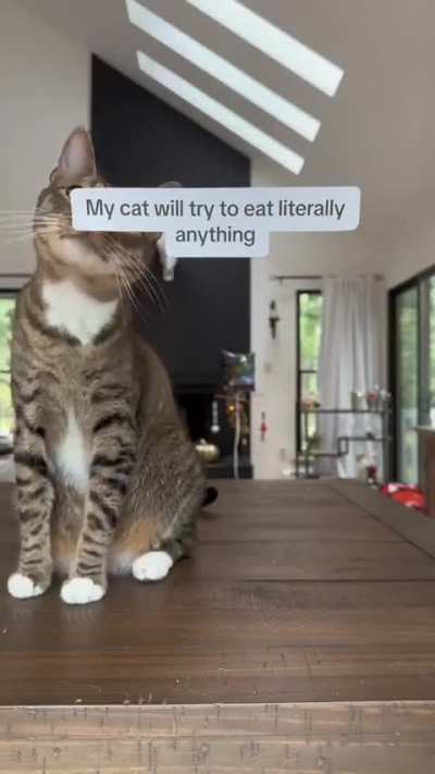 Nom nom