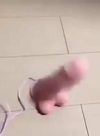 "se ela dan&ccedil;a eu dan&ccedil;o"