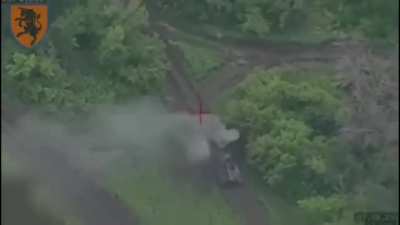 Destruction of a russian 2S3 Acacia self-propelled artillery system. Northeast of the village of Nova Tarasivka, Kharkiv. 43 OMBr