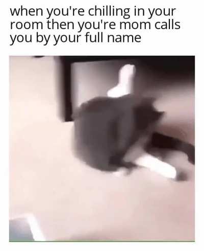 I'm very fast