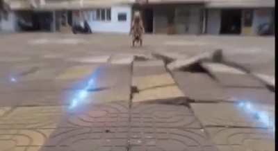 The fight of history! (Sorry for bad quality at the start)