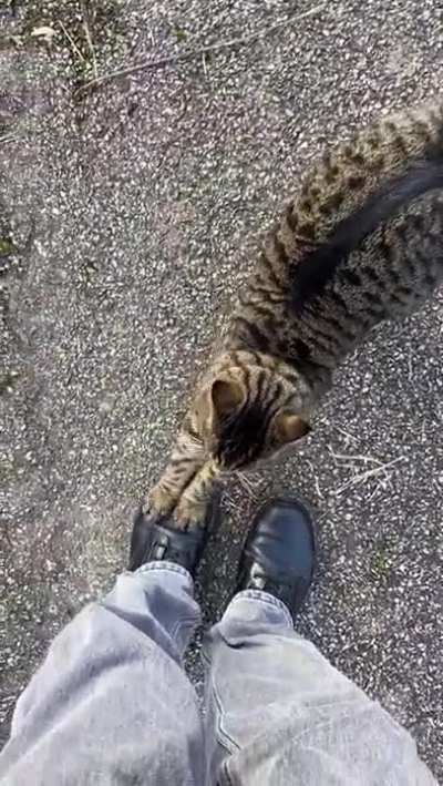 Fuck your shoes