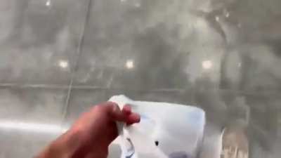 Roti👍
