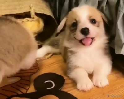 Surprise kiss!