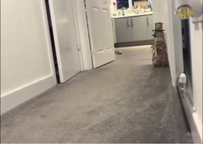 This kitty like she's practicing toddler talk and it&rsquo;s all about food 😆