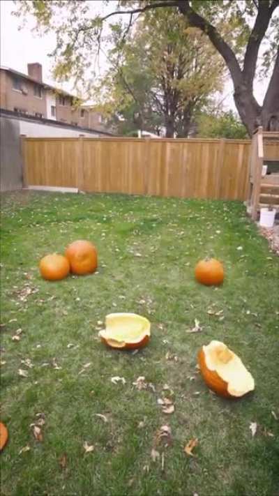 A man turning into random objects