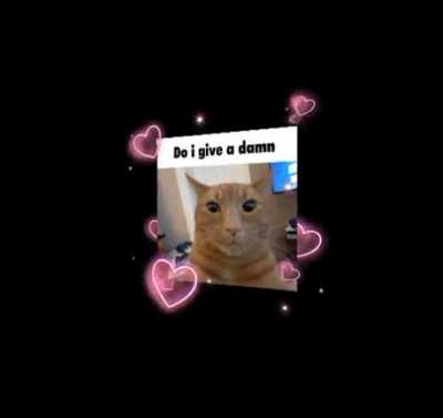 Do i