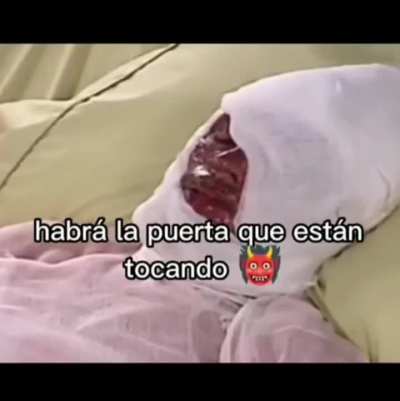 Liebre?