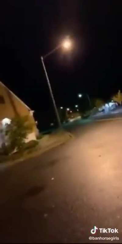 I walk this lonely... cone