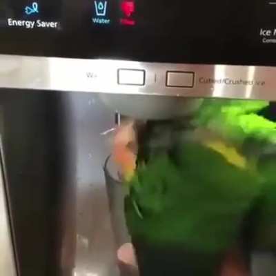 Asshole 😤😠