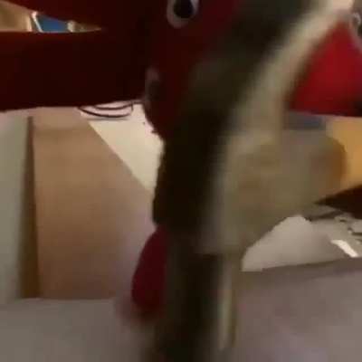 Xd