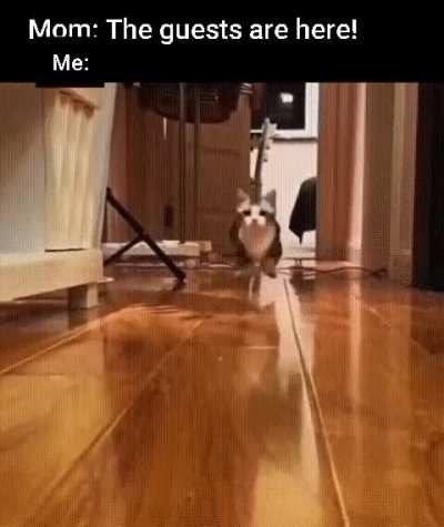 No thank you