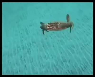 You messed with the wrong crab b*tch! I&rsquo;m coming for you! Lol