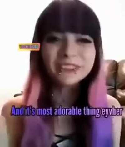 what the fuck