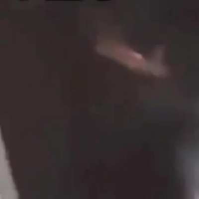 Fir