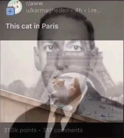 Ya saben cu&aacute;l es el nombre del gato del pap&aacute; de Uriel