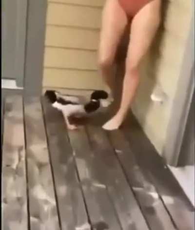GOOD BOOOOOOOOY