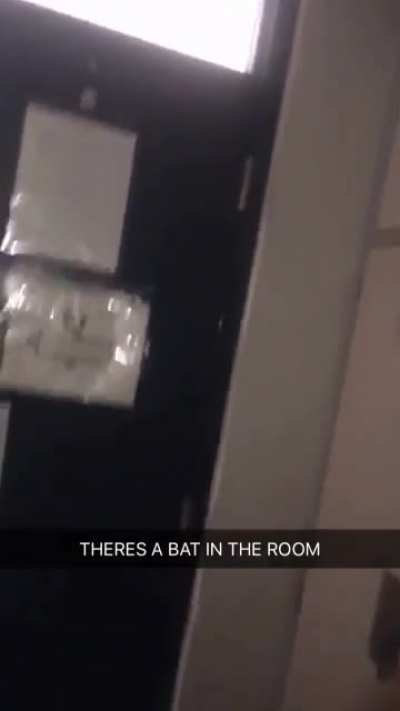 That time a bat got into out barracks room