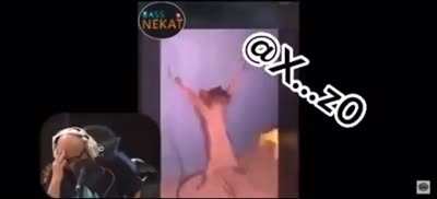 Rat gets beaten