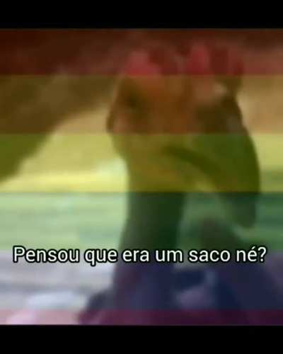 S&oacute; um teste