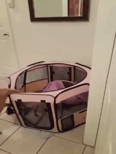 I’m breaking you out buddy let’s go!