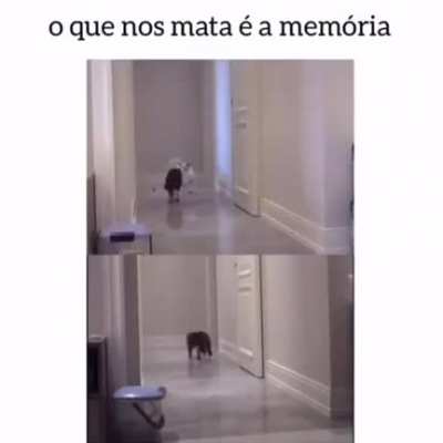 A&iacute; gente, bateu uma bad depois disso... F
