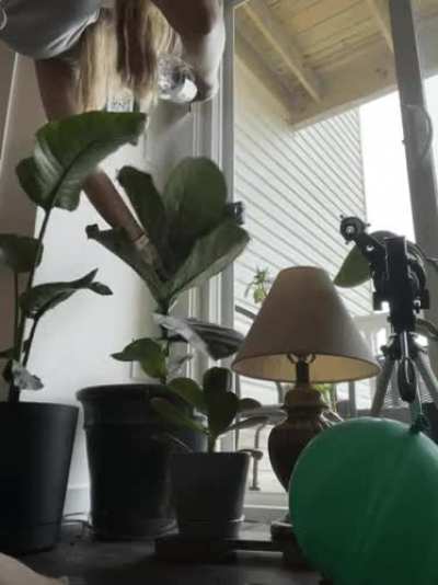 They say &ldquo;plants are boring,&rdquo; yet i have to create a hurricane for my fiddle leaf fig every week or it will literally commit suicide