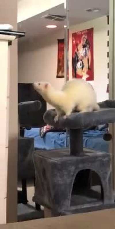 He must have seen a wall that we can&rsquo;t