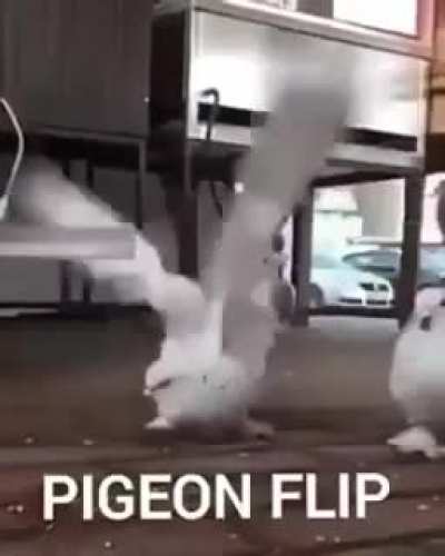 Pru flip
