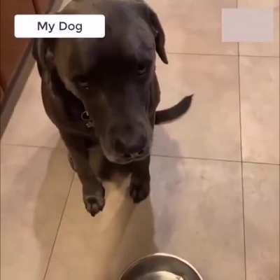 Are you sure hooman ?