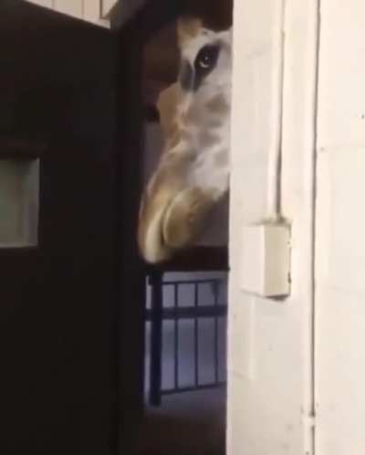 This is some scary shit