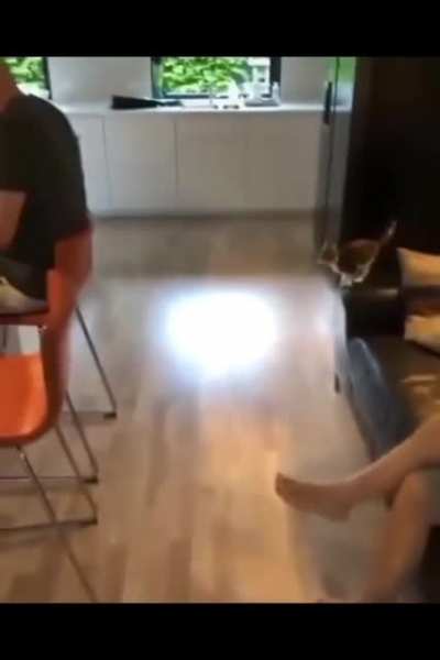 ninja kitten big ass jump
