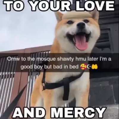 Praise ALLAH
