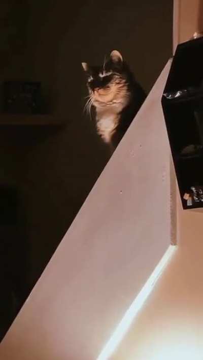 He&rsquo;s plotting something. I just know it.
