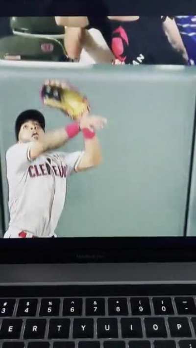 To catch a homerun.