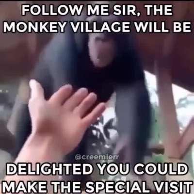 POV: You died and rejoined Monke in paths