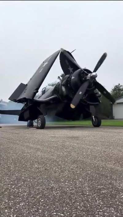 The Bent Wings One