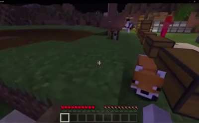 To take Harry&rsquo;s fox on a walk